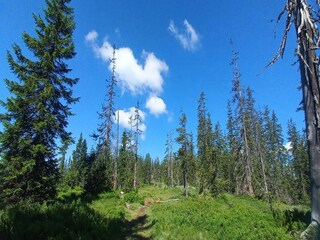 Apartment Filzmoos Umgebung 12