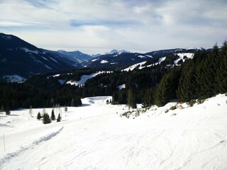 Appartement Filzmoos Environnement 21