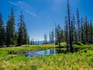 Appartamento Filzmoos Ambiente 49