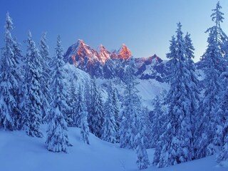 Appartamento Filzmoos Ambiente 48