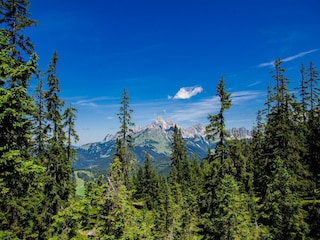 Appartement Filzmoos Environnement 17