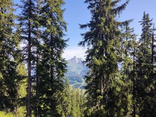 Apartment Filzmoos Environment 20