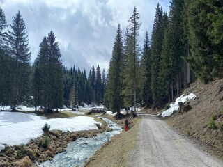 Appartamento Filzmoos Ambiente 24