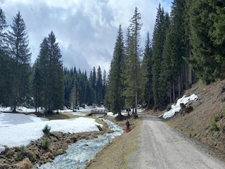 Appartement Filzmoos Environnement 25