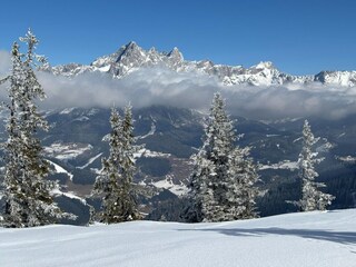 Apartment Filzmoos Umgebung 29