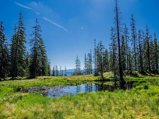 Apartment Filzmoos Umgebung 28