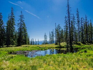 Appartamento Filzmoos Ambiente 27