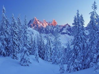 Apartment Filzmoos Umgebung 31