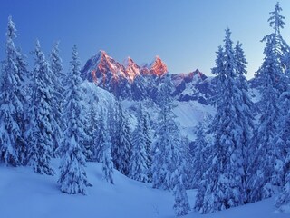 Appartement Filzmoos Environnement 33