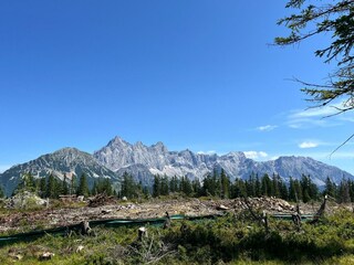 Appartement Filzmoos Environnement 23