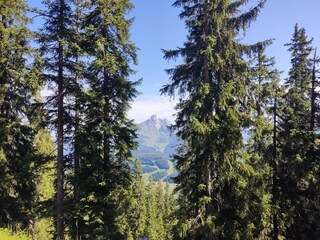 Appartement Filzmoos Environnement 26