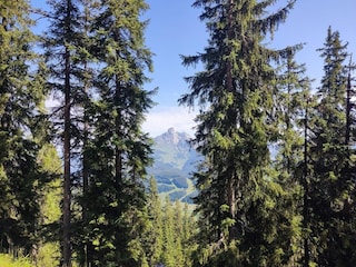 Appartement Filzmoos Omgeving 24