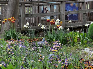 Parque de vacaciones Sierksdorf  21