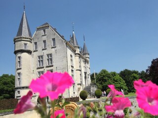 Vakantiepark Walem Omgeving 17