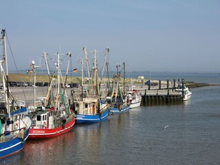 Apartamento Dornumersiel Entorno 16