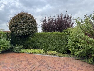 Bungalow Dornumersiel Buitenaudio-opname 7