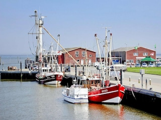 Bungalow Dornumersiel Environment 28