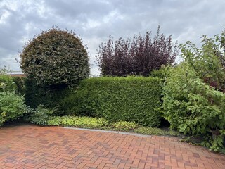 Bungalow Dornumersiel Registrazione all'aperto 5