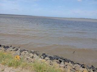 Bungalow Dornumersiel Umgebung 26