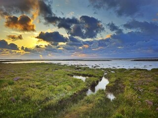 Bungalow Dornumersiel Umgebung 34