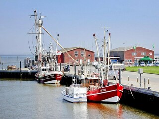 Bungalow Dornumersiel Umgebung 40