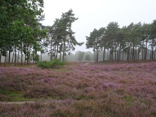 Vakantiepark Reek Omgeving 20
