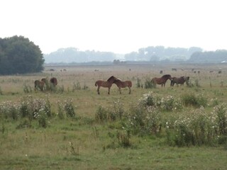 Vakantiepark Reek Omgeving 16