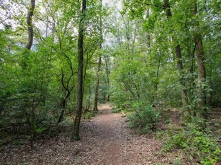 Vakantiepark Reek Omgeving 14