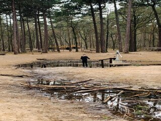 Parc de vacances Reek Environnement 18