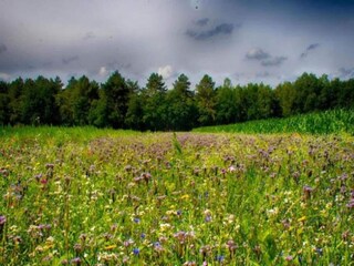 Vakantiepark Reek Omgeving 13