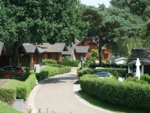 Holiday park Modern chalet with garden, terrace - Brunssum - image1