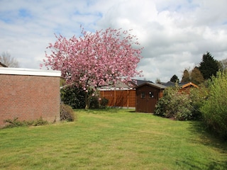 Bungalow Hage Außenaufnahme 2