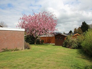Bungalow Hage Buitenaudio-opname 3