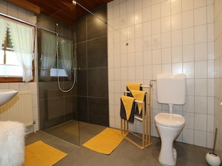 Apartamento See in Tirol Características 15
