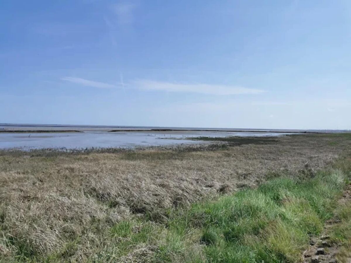 Bungalow Dornumersiel Environnement 22