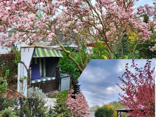 Ferienwohnung Bentwisch  34