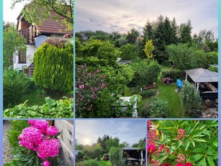 Im Garten