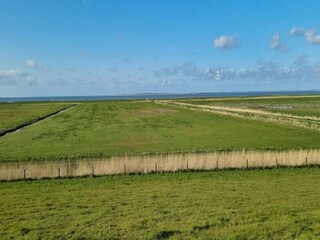 Bungalow Dornumersiel Environnement 32