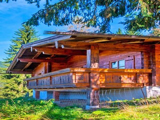 Casa per le vacanze Eben im Pongau Registrazione all'aperto 5