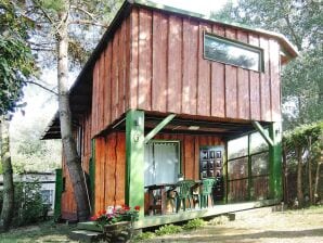 Ferienpark Ferienhaus in Toplage, weniger Meter von einem See entfernt, Dargobadz - Lubin - image1