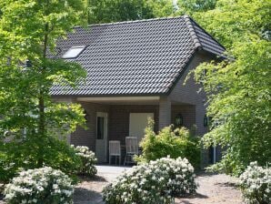 Holiday park Designhaus mit Kamin bei Bedafse Bergen - Uden - image1