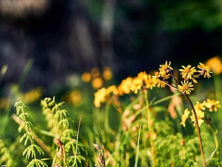 Appartement Bodenmais Enregistrement extérieur 10
