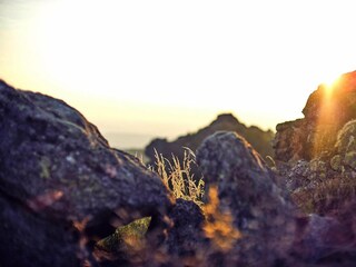 Appartement Bodenmais Environnement 19