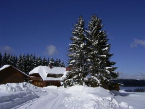 Holiday apartment Reiner in Schonach im Schwarzwald - Schonach - image1