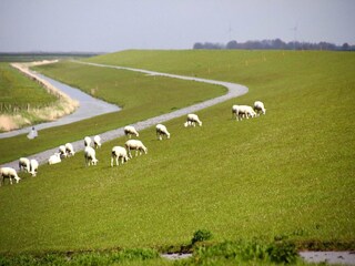 Vakantiehuis Ostermarsch  16