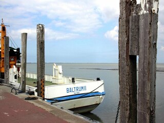 Casa per le vacanze Ostermarsch  16