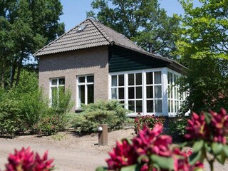 Holiday park Uden Outdoor Recording 3