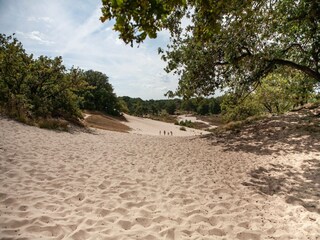 Parc de vacances Uden Environnement 15