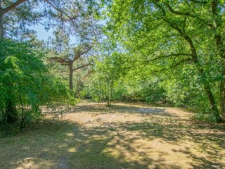 Ferienpark Uden Umgebung 18