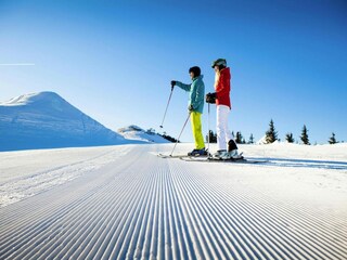 Appartamento Großarl  21